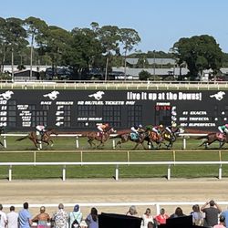 Tampa Bay Downs - April 13, 2024