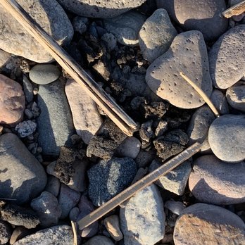 Crazy Horse Campgrounds - Dog poop - Campgrounds Near Me - Lake Havasu City, Arizona