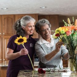 Home Instead Senior Care