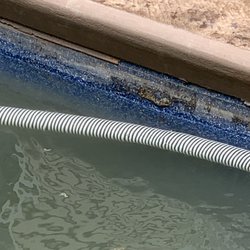 Unique Pools and Spas - This is what $82,000 buys at Unique Pools, finished product.