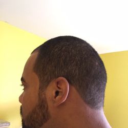 Movie Star Cuts