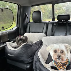 Park Ur Paws - On the way home. They were tired!