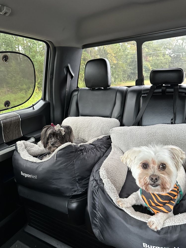Park Ur Paws - pet boarding facility in Jacksonville, FL