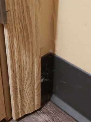 Denali Bluffs Hotel by null