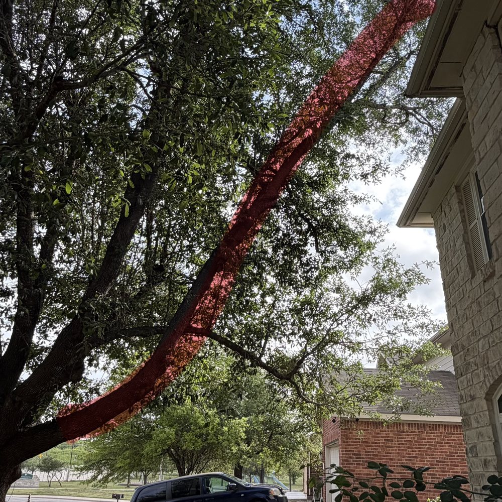 Mike's Tree Service - Huge oak lim hanging over the house, afraid it will crack during a ice storm - Tree Services Near Me - Leander, Texas Mike's Tree Service - Huge oak lim hanging over the house, afraid it will crack during a ice storm - Tree Services Near Me - Leander, Texas