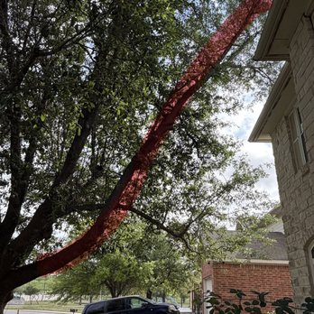 Mike's Tree Service - Huge oak lim hanging over the house, afraid it will crack during a ice storm - Tree Services Near Me - Leander, Texas
