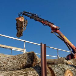 K V Tree Service