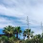 Photo of Playa de Zahora