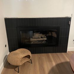Capitol Chimney Service - No mantle yet but look at those beautiful doors!