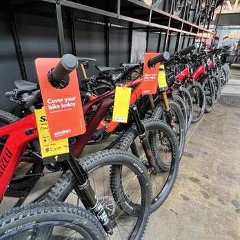 Sundays Bike Insurance - Sundays Insurance displayed in store on mountain bikes and road bicycles. - Auto Insurance Near Me - Wilmington, Delaware Sundays Bike Insurance - Sundays Insurance displayed in store on mountain bikes and road bicycles. - Auto Insurance Near Me - Wilmington, Delaware
