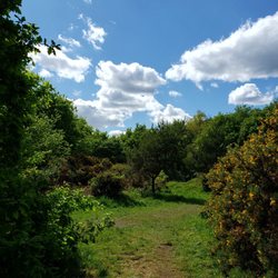 Tooting Bec Common