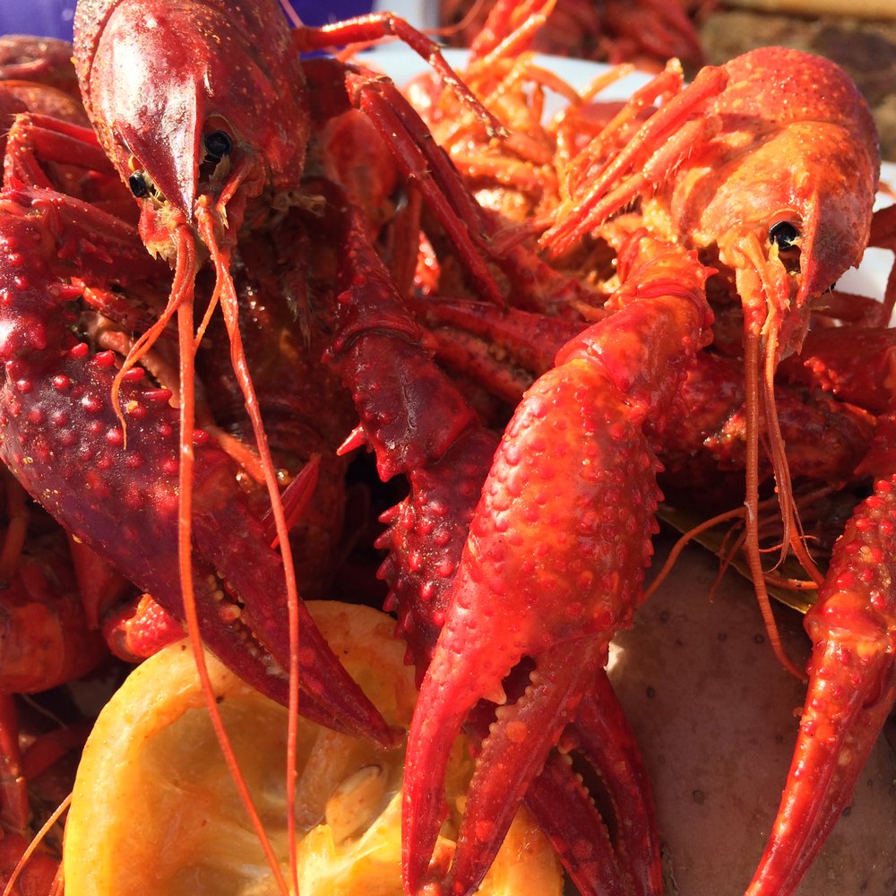 Homestead - Crawdad Festival - Hotels Near Me - Midway, Utah Homestead - Crawdad Festival - Hotels Near Me - Midway, Utah