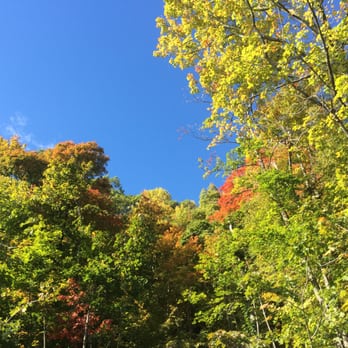 Palisades Interstate Park Commission - Changing leaves - Hiking Near Me - Alpine, New Jersey