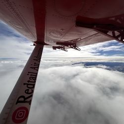 Redtail Air Adventures