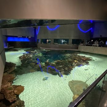 National Aquarium - Aquariums Near Me - Baltimore, Maryland National Aquarium - Aquariums Near Me - Baltimore, Maryland