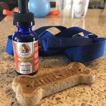 all paws essentials