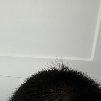 Best Cuts - Missed hairs - Hair Salons Near Me - Federal Way, Washington Best Cuts - Missed hairs - Hair Salons Near Me - Federal Way, Washington