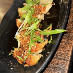 Shokku Ramen - Drowning Gyoza