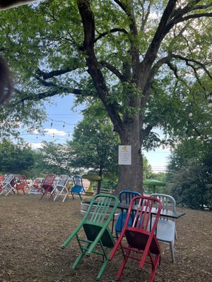 Mellow Mushroom Roswell by null