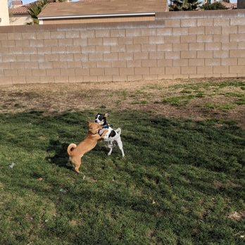 Forrest E Hull Park - Dog Parks Near Me - Lancaster, California Forrest E Hull Park - Dog Parks Near Me - Lancaster, California