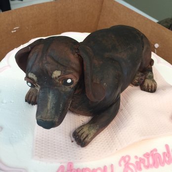 Cakes by Darcy - Phenomenal replication of our dachshund!!! - Bakeries Near Me - Roswell, Georgia Cakes by Darcy - Phenomenal replication of our dachshund!!! - Bakeries Near Me - Roswell, Georgia