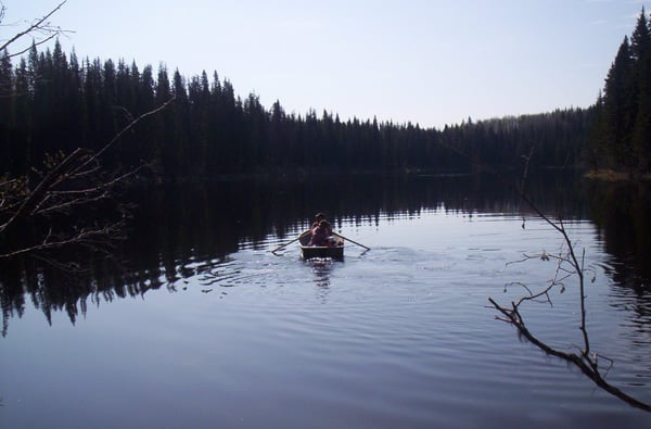 Mike's Hillside Taxidermy - taxidermy in Creswell, OR
