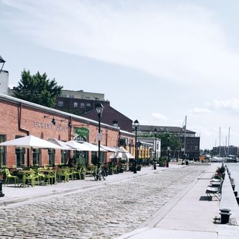 Pitango Bakery Cafe - Beautiful location and scenery - Cafes Near Me - Baltimore, Maryland