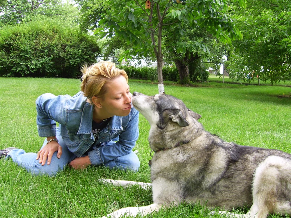 Kisses & Snugs Pet Care - pet boarding facility in Bolingbrook, IL
