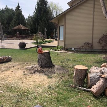 Affordable Tree Care - Tree Services Near Me - Boise, Idaho Affordable Tree Care - Tree Services Near Me - Boise, Idaho