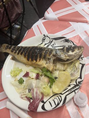 Trattoria da Nennella by null