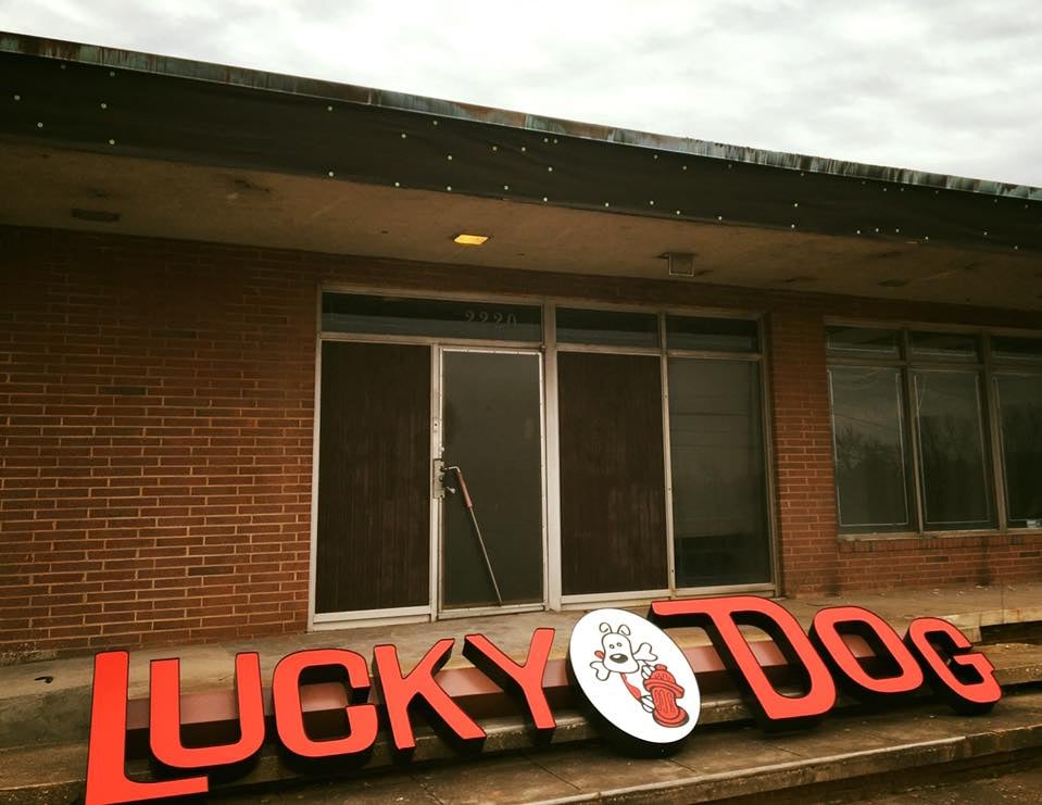Lucky Dog Bark & Brew Cornelius - pet boarding facility in Cornelius, NC