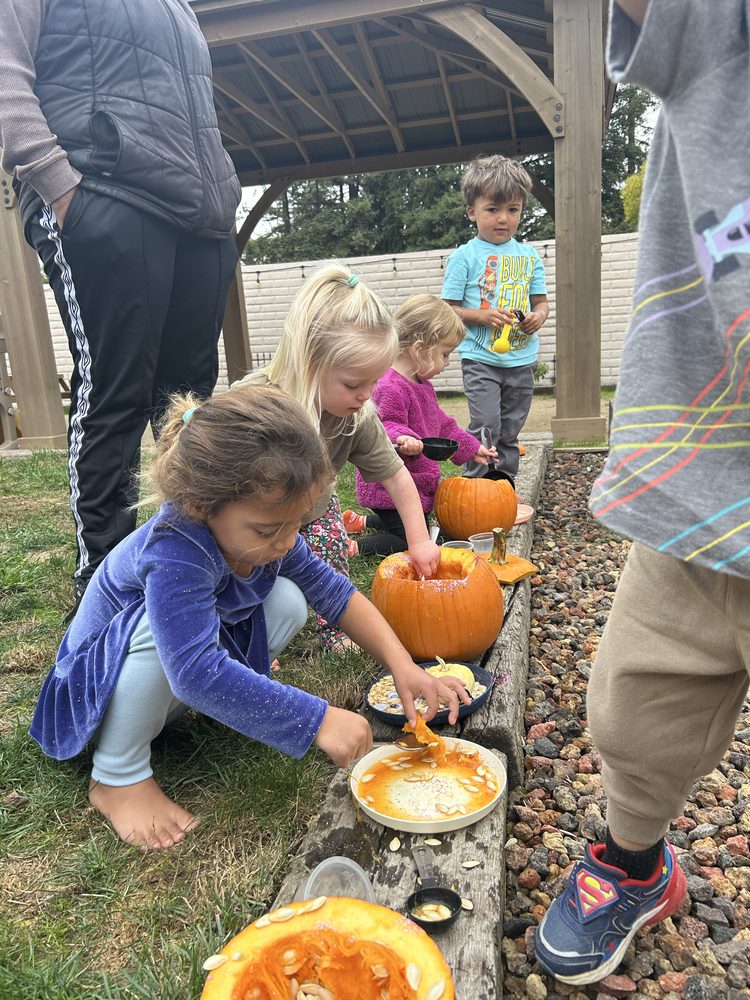 Hearts & Stars Child Care - childcare center in Rohnert Park, CA