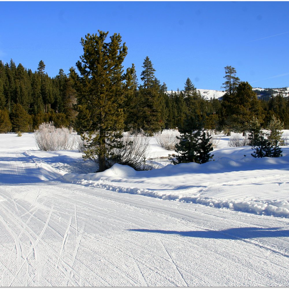 Bear Valley Adventure Company - Morning conditions on Stables Cruise trail. - Ski Resorts Near Me - Bear Valley, California Bear Valley Adventure Company - Morning conditions on Stables Cruise trail. - Ski Resorts Near Me - Bear Valley, California