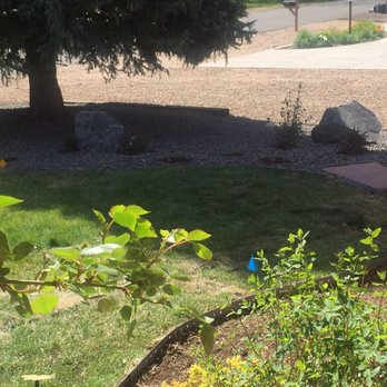 LEM Landscaping - Front of side yard - Landscaping Near Me LEM Landscaping - Front of side yard - Landscaping Near Me