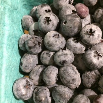 Chipman Farm Raymond Stand - Huge, tart blueberries! - Fruits & Veggies Near Me - Raymond, Maine Chipman Farm Raymond Stand - Huge, tart blueberries! - Fruits & Veggies Near Me - Raymond, Maine