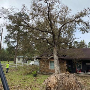 Jt's Tree Service - Uprooted Tree from the hurricane - Tree Services Near Me - Santa Fe, Texas
