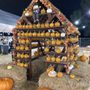 Shawn's Pumpkin Patch