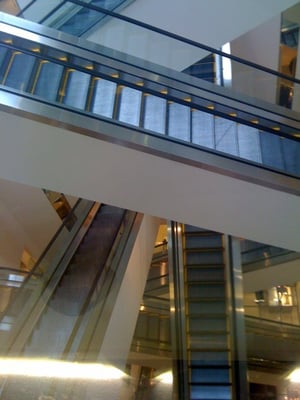 Saks Fifth Avenue by null