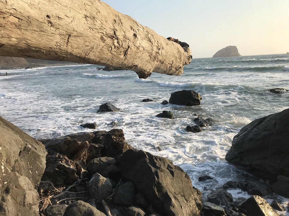 Wilson Creek Beach Logo