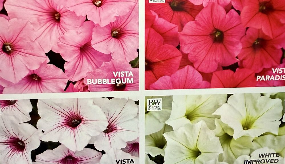 Slide of Green Landscaping