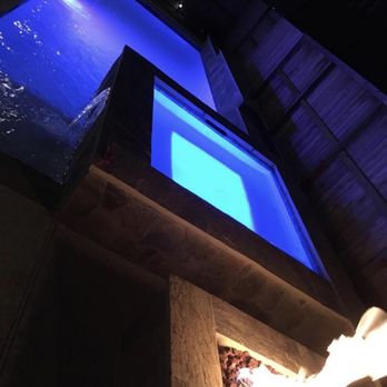 Pulliam Pools of Houston - Pool & Hot Tub Service Near Me - Katy, Texas Pulliam Pools of Houston - Pool & Hot Tub Service Near Me - Katy, Texas