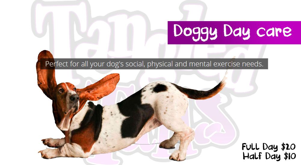 TANGLED TAILS Updated September 2024 14 Photos 2121 Adventureland