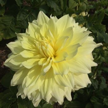 Chicago Botanic Garden - Botanical Gardens Near Me - Glencoe, Illinois