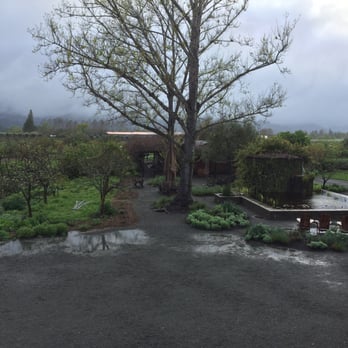 Frog's Leap Winery - Wineries Near Me - Rutherford, California Frog's Leap Winery - Wineries Near Me - Rutherford, California