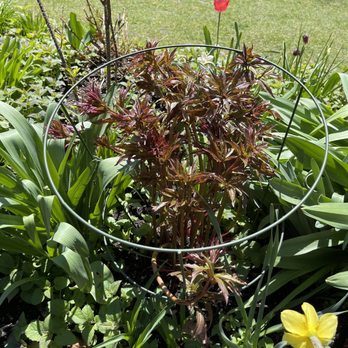 Shakespeare Garden - Parks Near Me - Evanston, Illinois