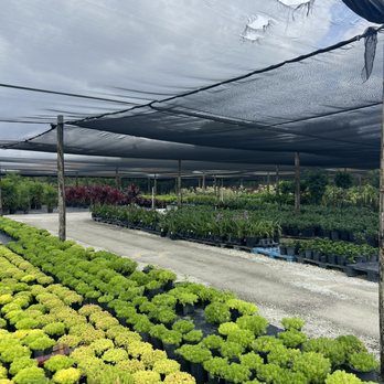 Sunset Nursery - Nurseries & Gardening Near Me - Miami, Florida