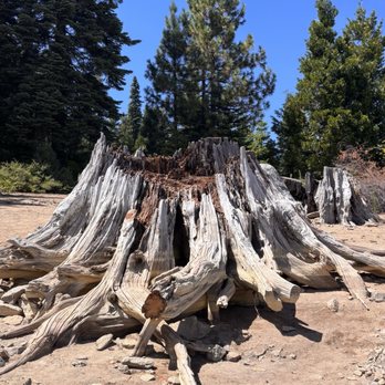 Icehouse Reservoir - Rafting/Kayaking Near Me - Pollock Pines, California Icehouse Reservoir - Rafting/Kayaking Near Me - Pollock Pines, California