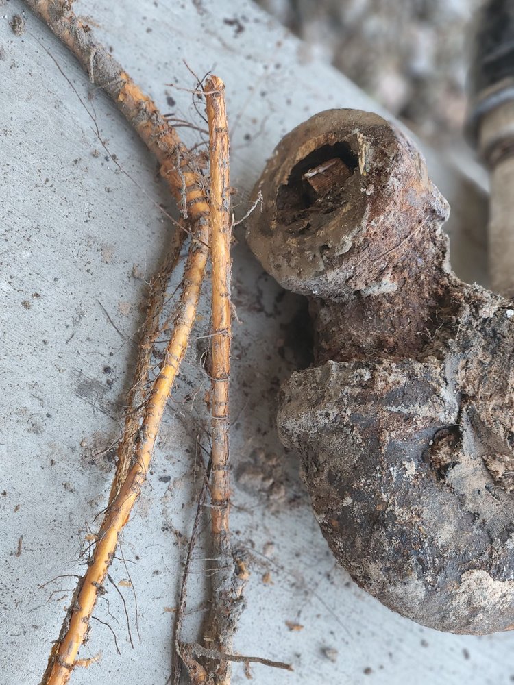 Slide of Arturo The Handyman Repairs