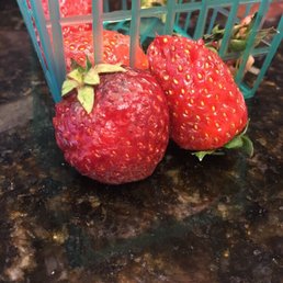 Mostly all strawberries on the bottom of the baskets were like this.