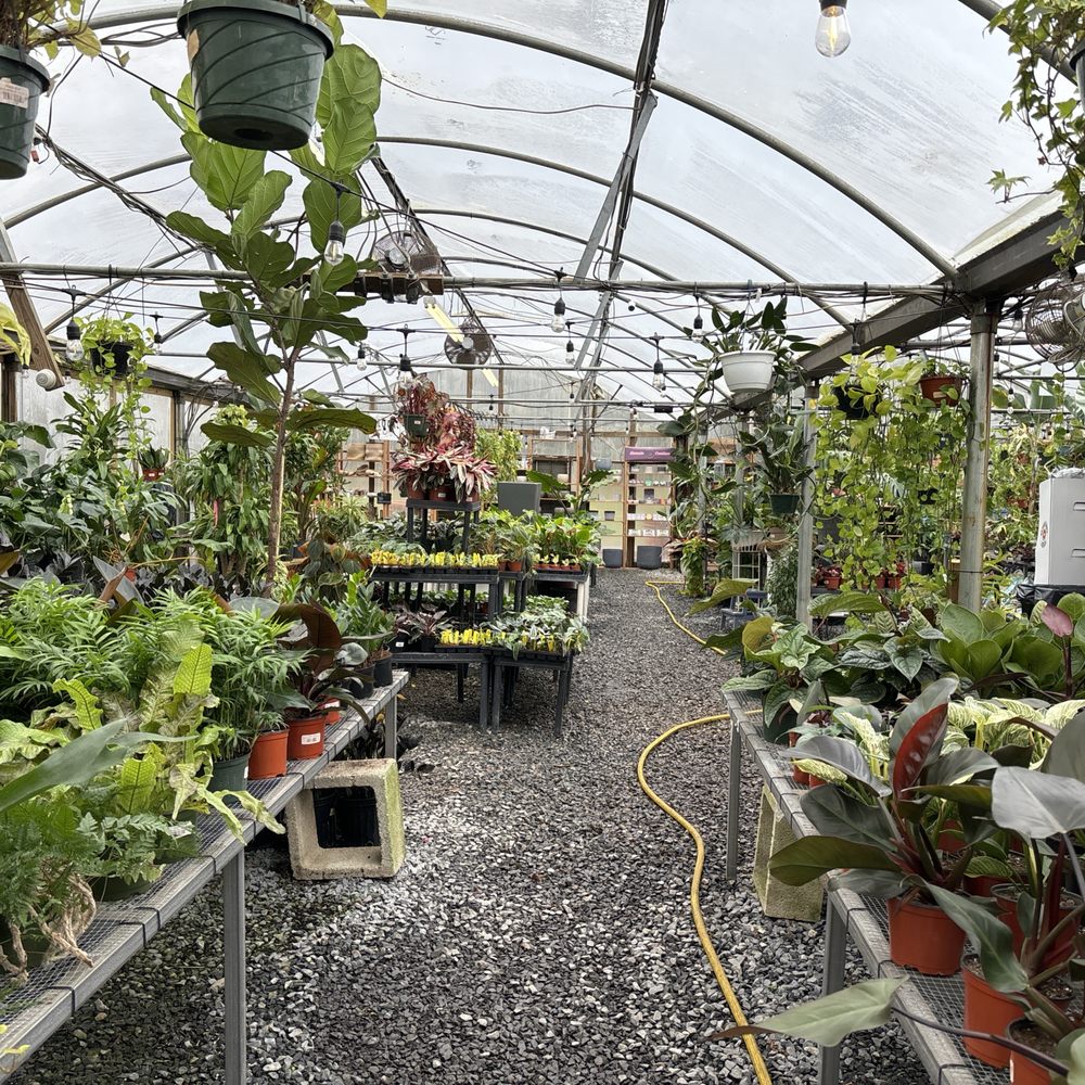 Plants Alive! - Nurseries & Gardening Near Me - Silver Spring, Maryland Plants Alive! - Nurseries & Gardening Near Me - Silver Spring, Maryland